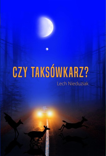 Czy taksowkarz fiszka.jpg