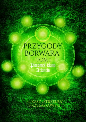 Przygody Borwara fiszka.jpg