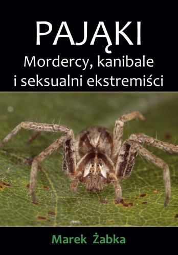 Pajaki okladka FISZKA.jpg