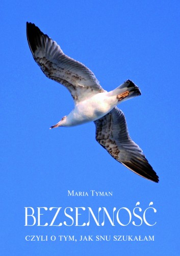 Bezsennosc FISZKA.jpg