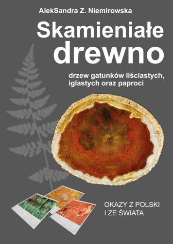 Skamieniałe drewno drzew gatunków liściastych, iglastych oraz paproci. Okazy z Polski i ze świata